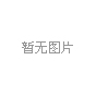 2003-1 癸未年 二轮生肖邮票 羊小版 小羊