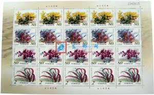 2002-14 沙漠植物 邮票 大版