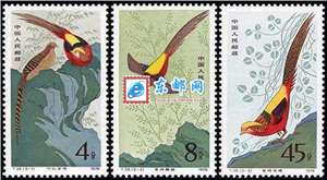 T35　金鸡 邮票 原胶全品