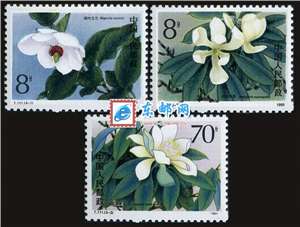 T111　珍稀濒危木兰科植物 邮票 原胶全品