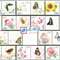 个23 花卉 个性化邮票原票 单套