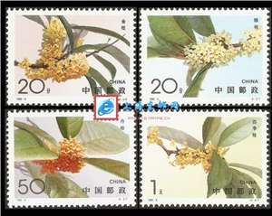 1995-6 桂花 邮票(购四套供方连)
