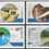 http://www.e-stamps.cn/upload/2012/06/06/2055485639.jpg/300x300_Min
