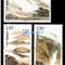 2007-23 腾冲地热火山 邮票