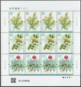 2023-20 药用植物（三）邮票 大版（一套两版，全同号）
